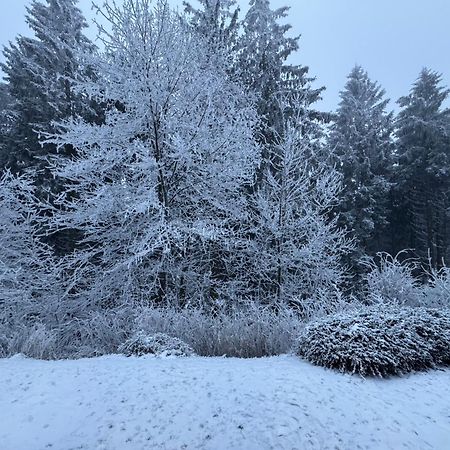 Apartment Maja Unmittelbar An Der Skipiste Winterberg Ngoại thất bức ảnh