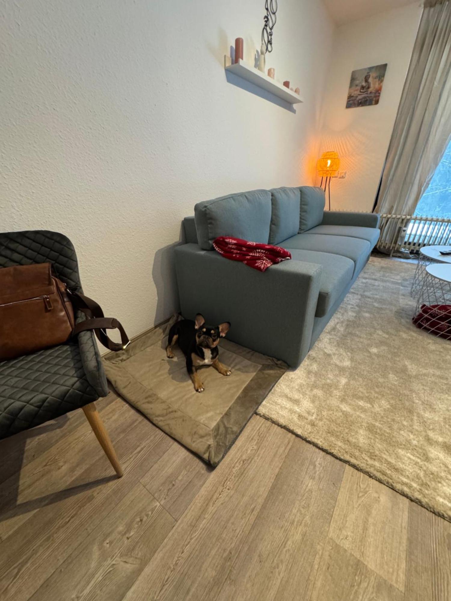 Apartment Maja Unmittelbar An Der Skipiste Winterberg Ngoại thất bức ảnh