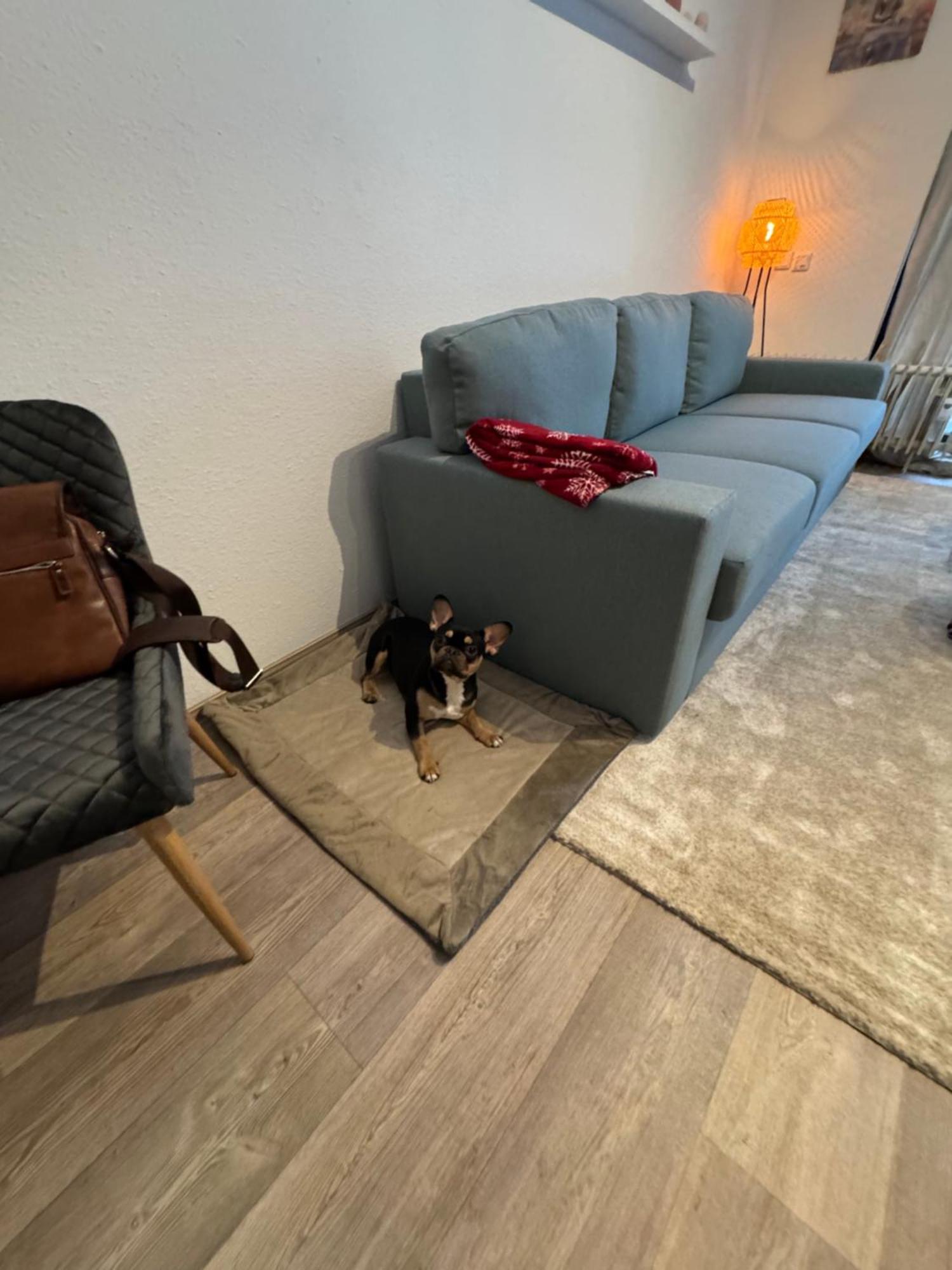 Apartment Maja Unmittelbar An Der Skipiste Winterberg Ngoại thất bức ảnh