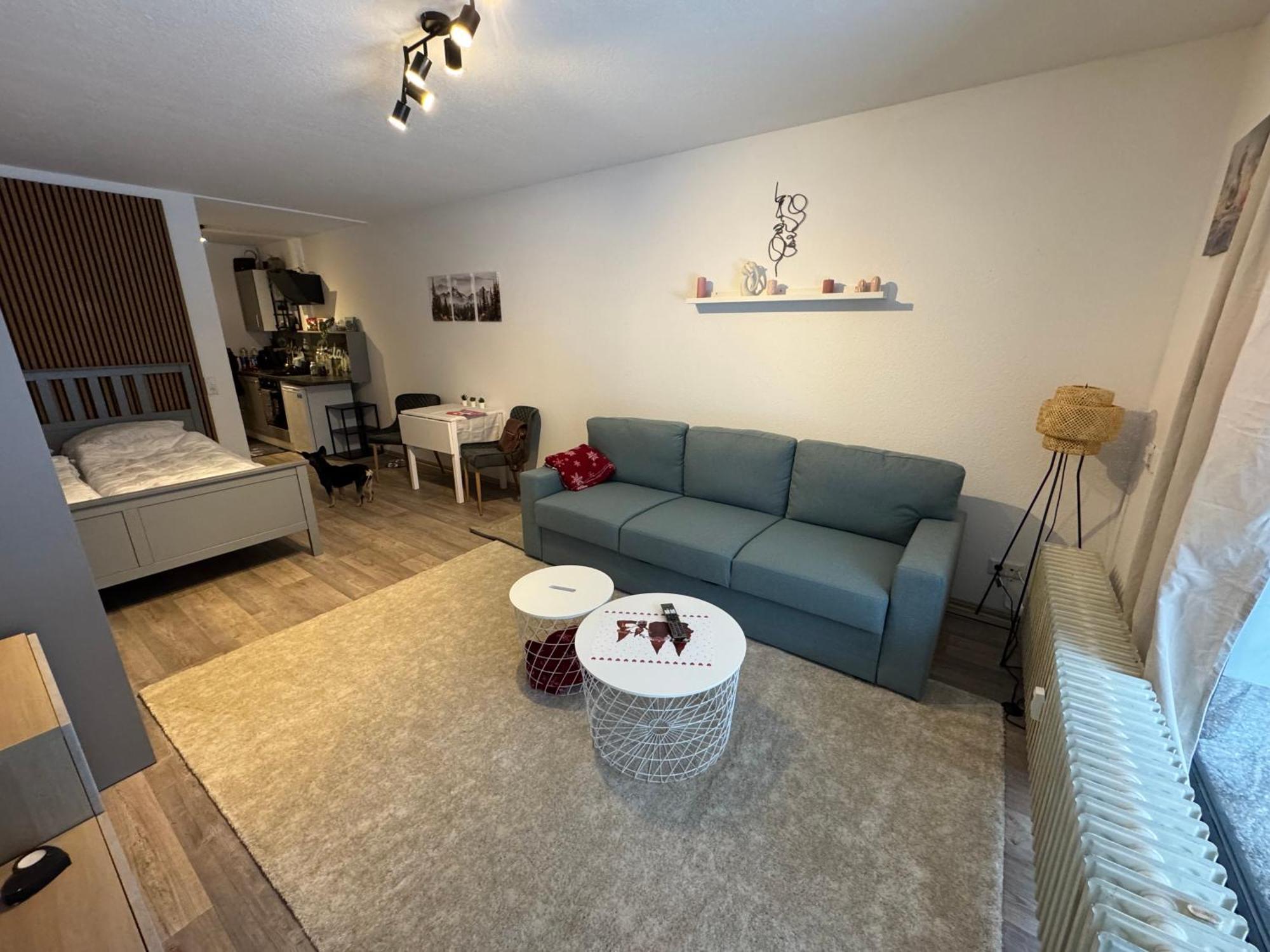 Apartment Maja Unmittelbar An Der Skipiste Winterberg Ngoại thất bức ảnh