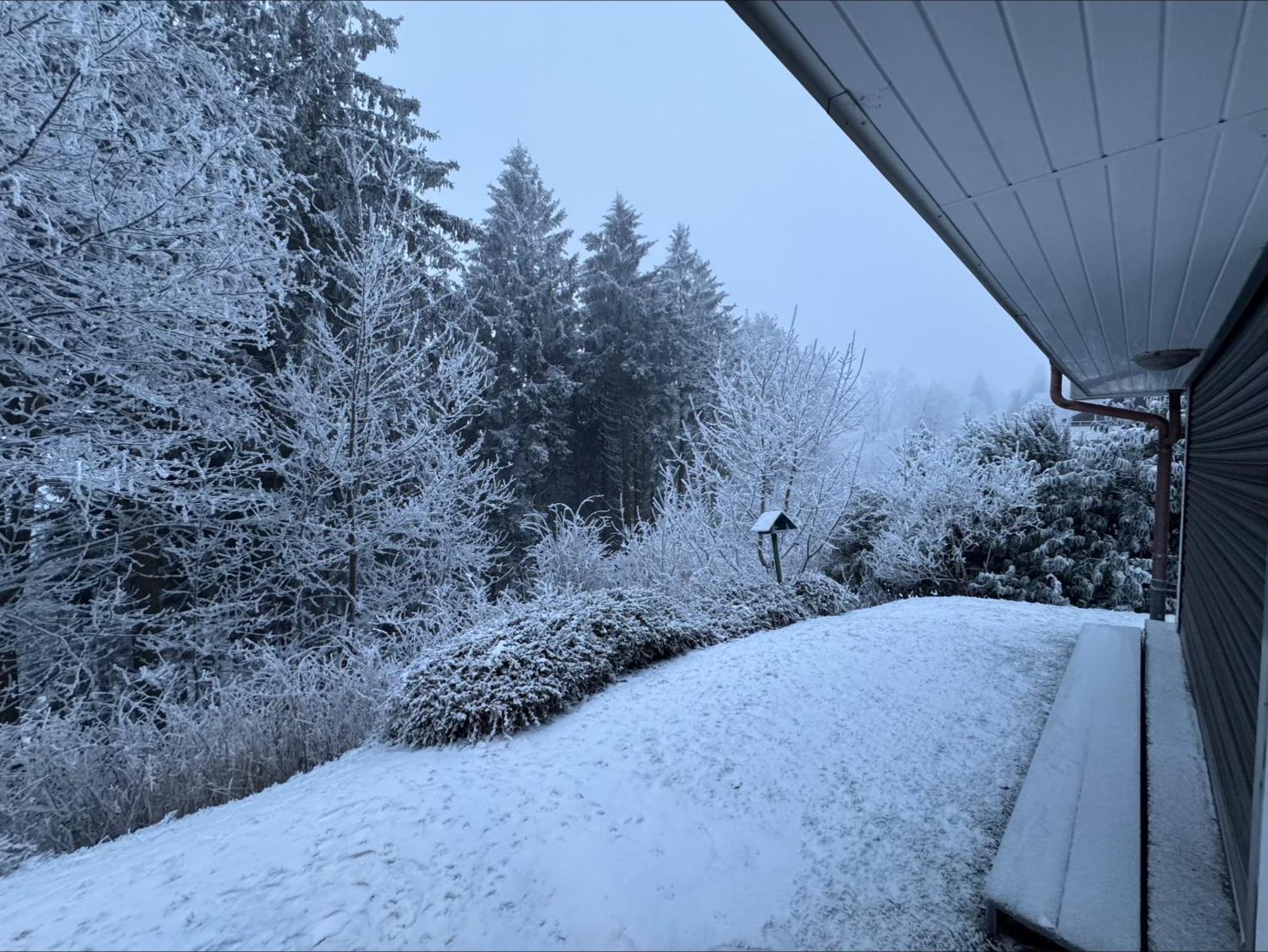 Apartment Maja Unmittelbar An Der Skipiste Winterberg Ngoại thất bức ảnh