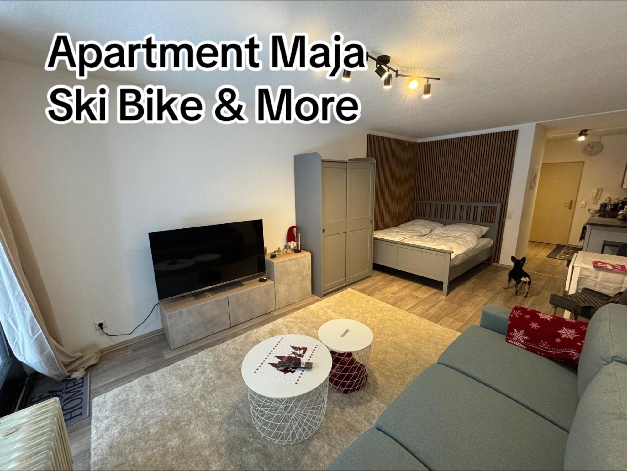 Apartment Maja Unmittelbar An Der Skipiste Winterberg Ngoại thất bức ảnh